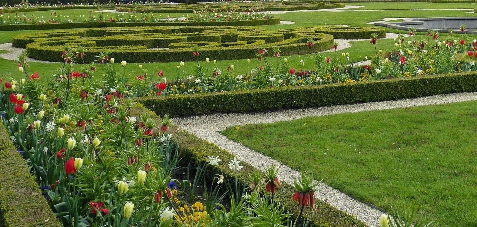 Buxusrand in een Franse tuin