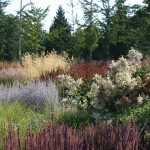 4 misvattingen over vaste planten