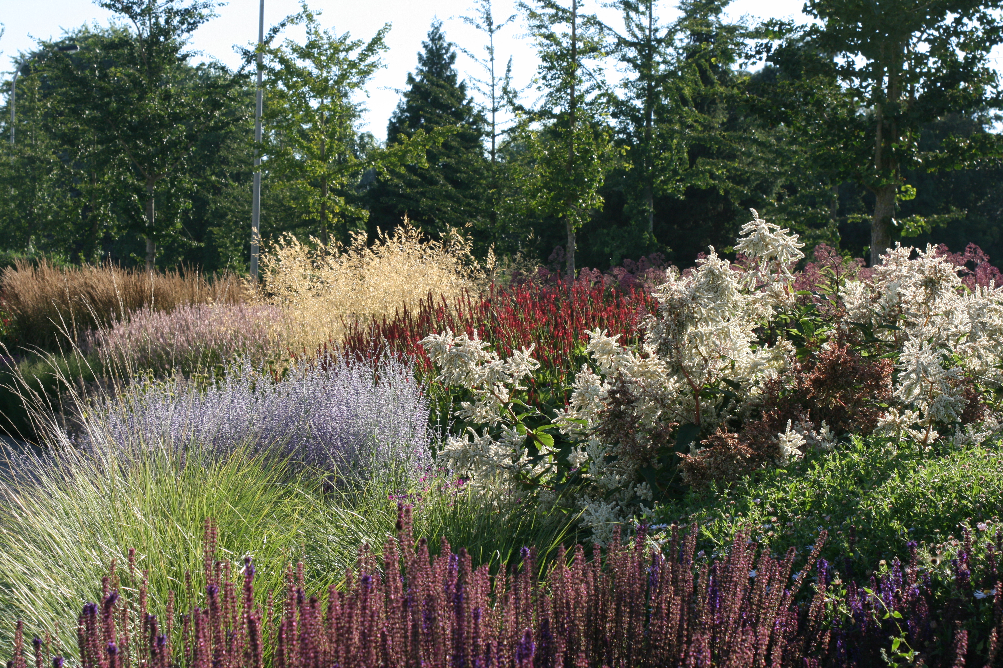 4 misvattingen over vaste planten