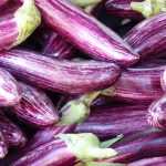 Aubergines kweken: zo lukt het