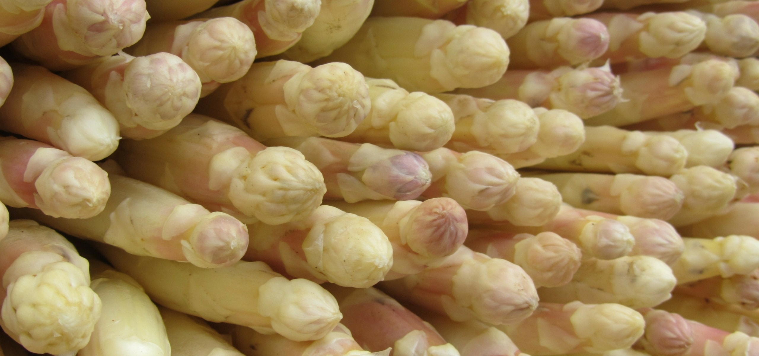 Asperges telen: zo lukt het