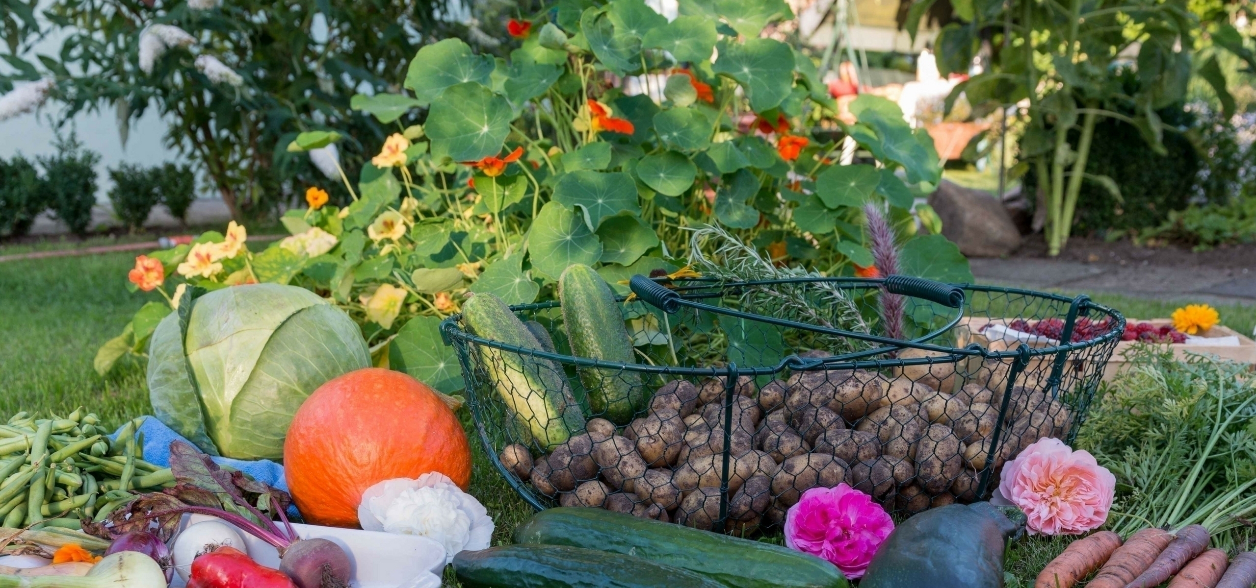 Combinatieteelt in de moestuin