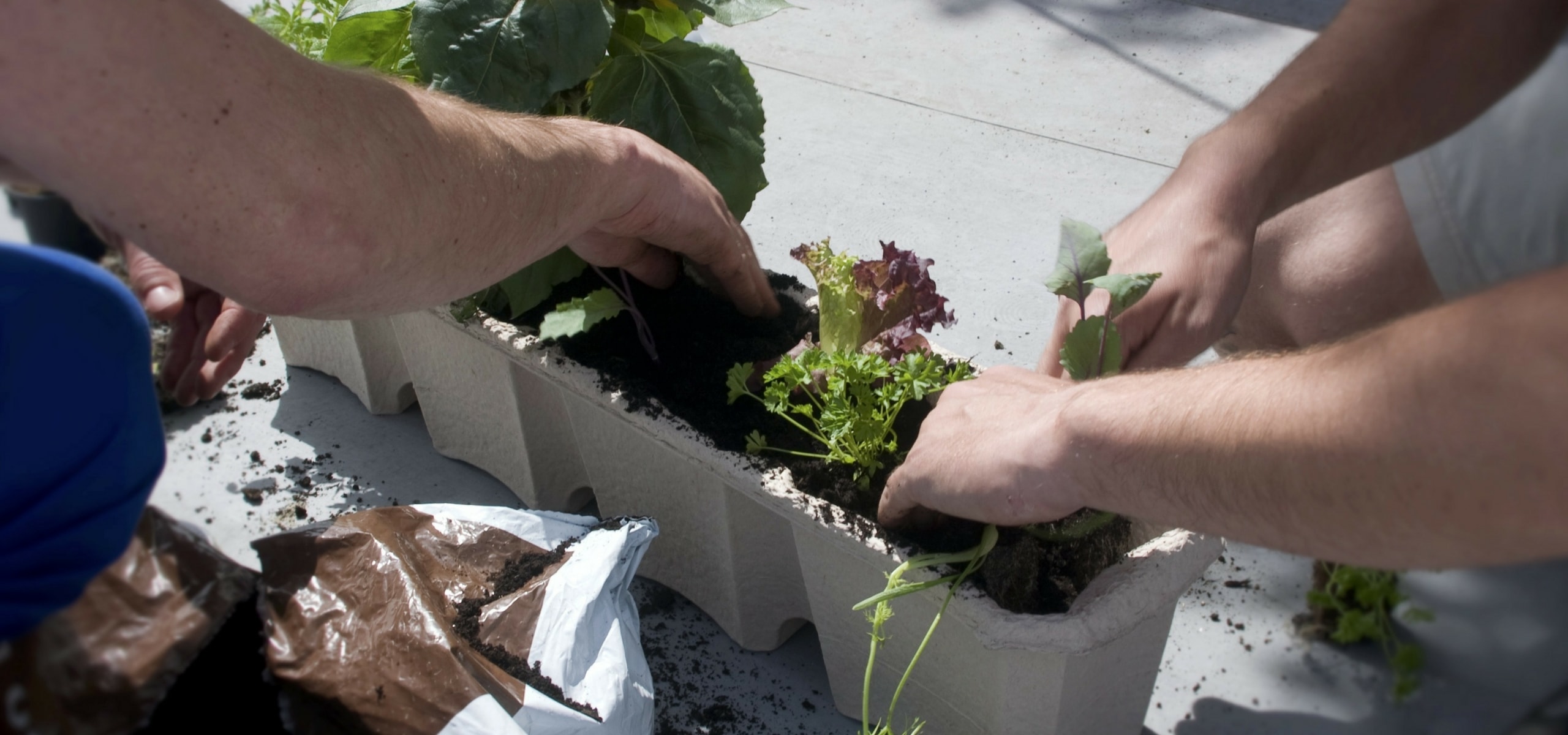 Moestuin op het balkon
