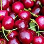 Fruit uit eigen tuin bewaren