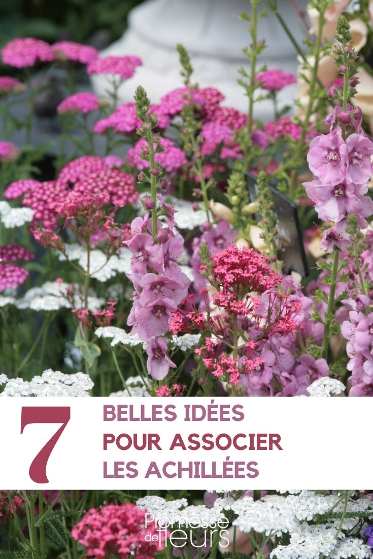Achilleas combineren