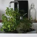 Planten in pot bij hitte: water geven bij afwezigheid