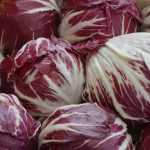 Cichorei, een salade om (opnieuw) te ontdekken in de moestuin!