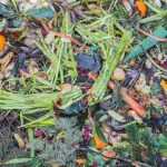 Compost maken in 5 stappen
