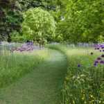 Onderhoudsvrije tuin: tips, trucs en geschikte planten