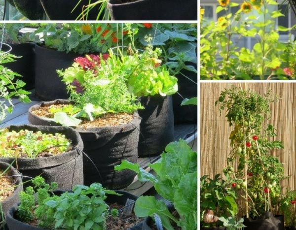 Moestuinieren in de stad: alles in de tas!