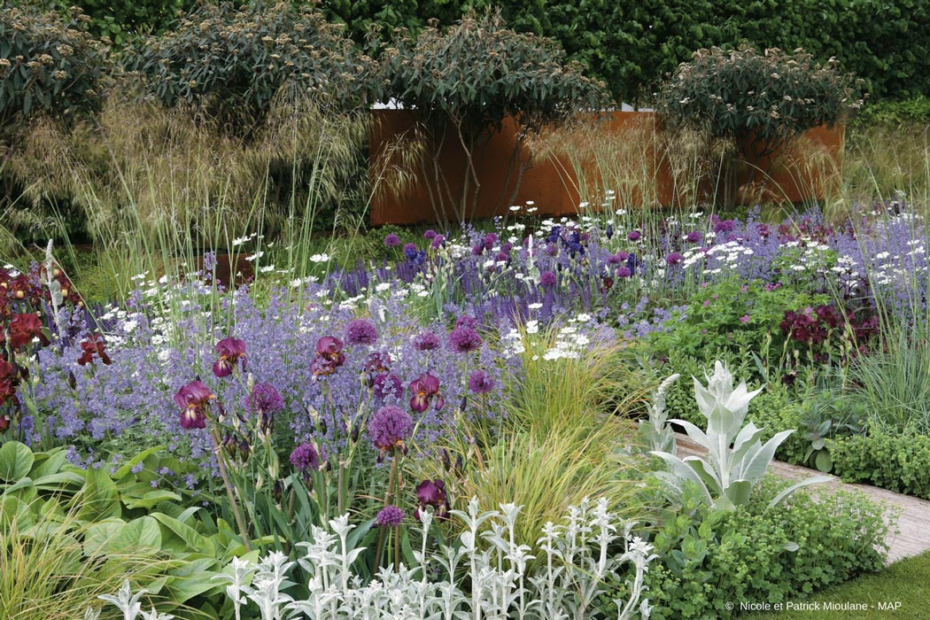 Hoe creëer je een mooie border met vaste planten?