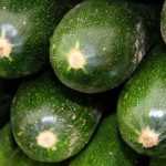 Courgette zaaien, planten en telen in de moestuin