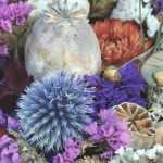 Gedroogde bloemen: kiezen, drogen en verzorgen