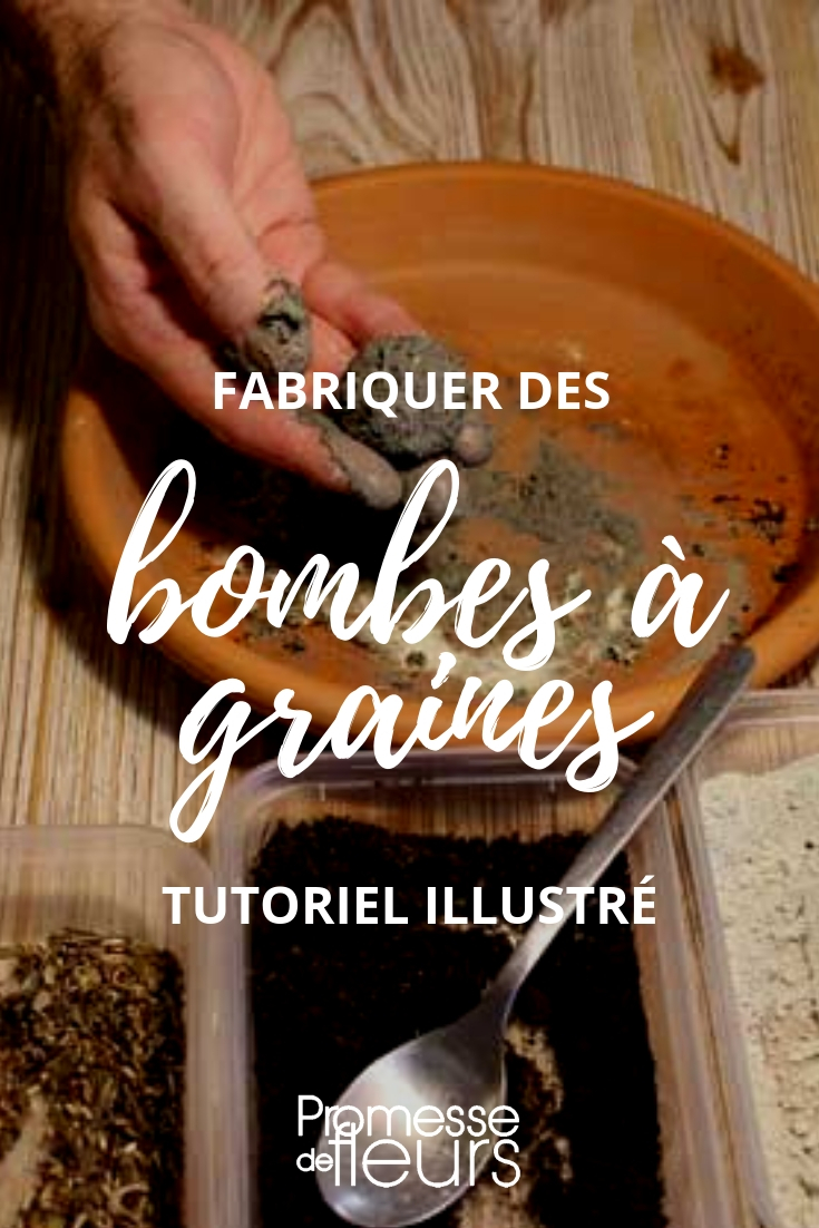 Zaadbommen of seed bombs maken: zo doe je dat