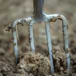 Grond omspitten: goed of slecht?