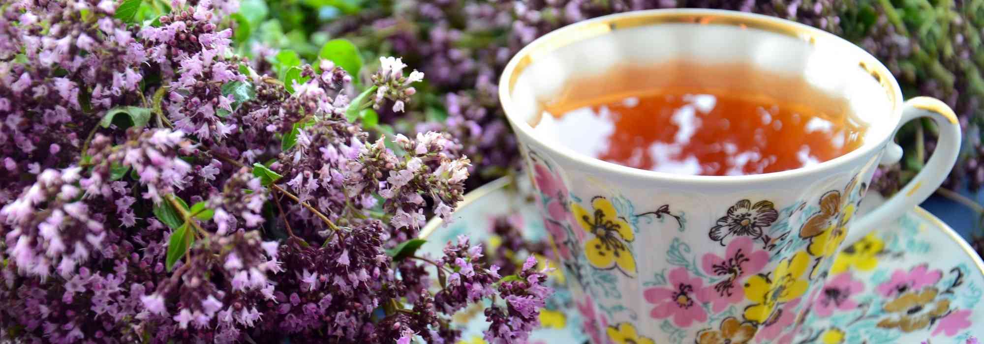 Kruidenthee en infusies: welke planten kun je in de tuin telen?