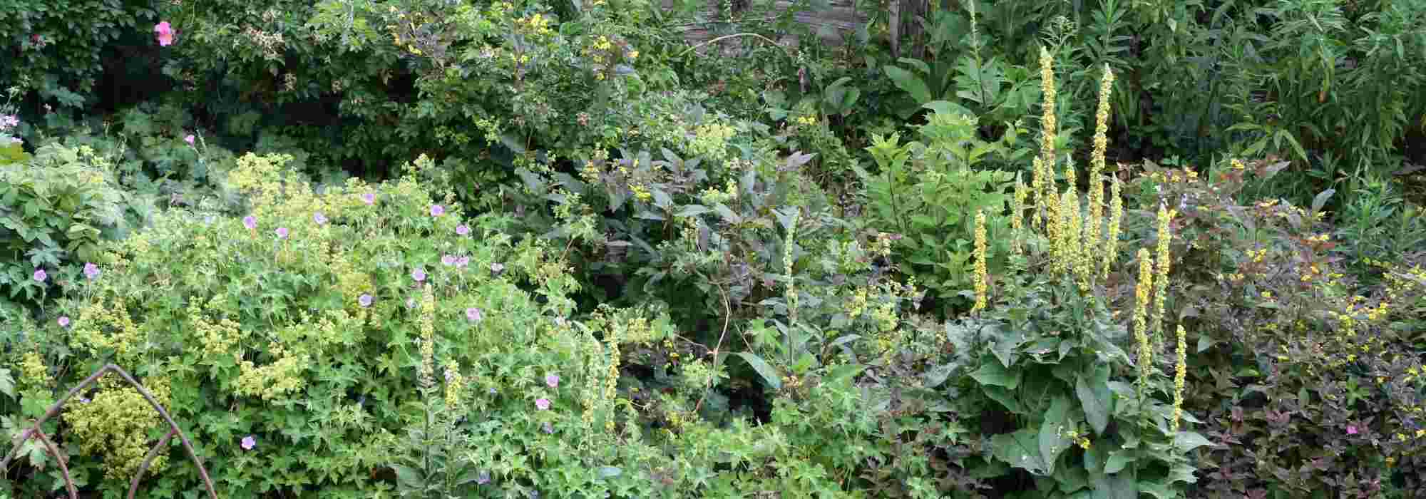 Hoe richt je een tuin op een helling in?