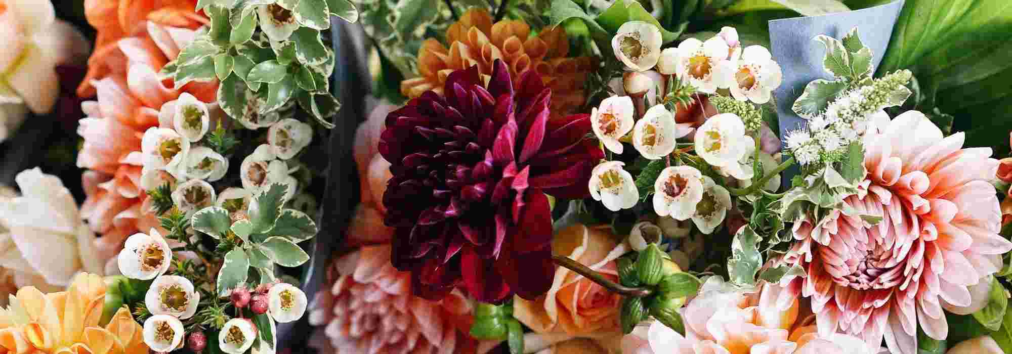 Een snijbloementuin aanleggen voor eigen boeketten