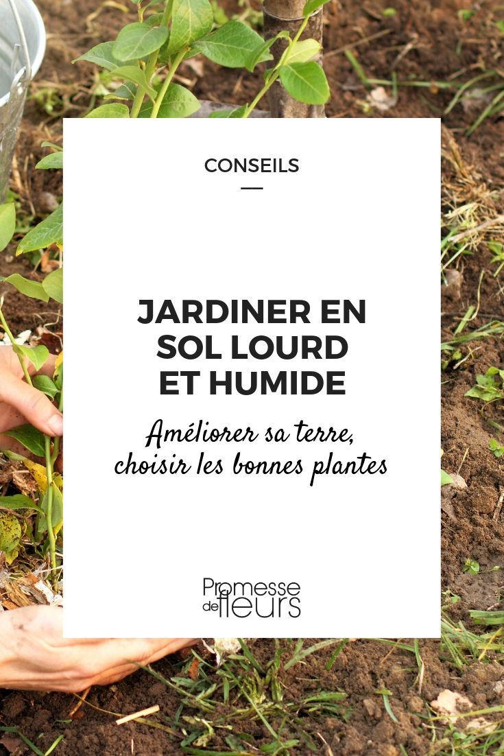 Zware, natte bodem in de tuin: tips