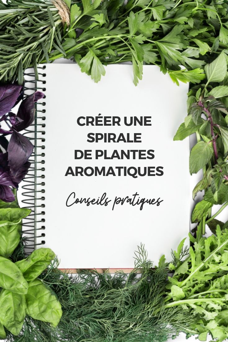 Spiraalvormige kruidenplanten: praktische tips