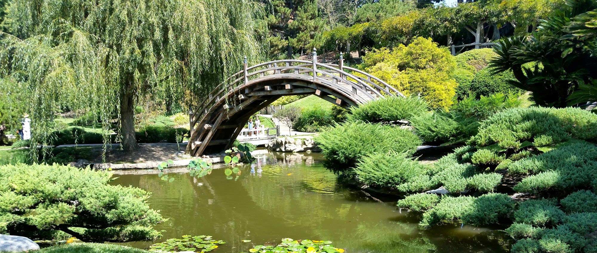 7 plantcombinaties voor een Japanse tuin