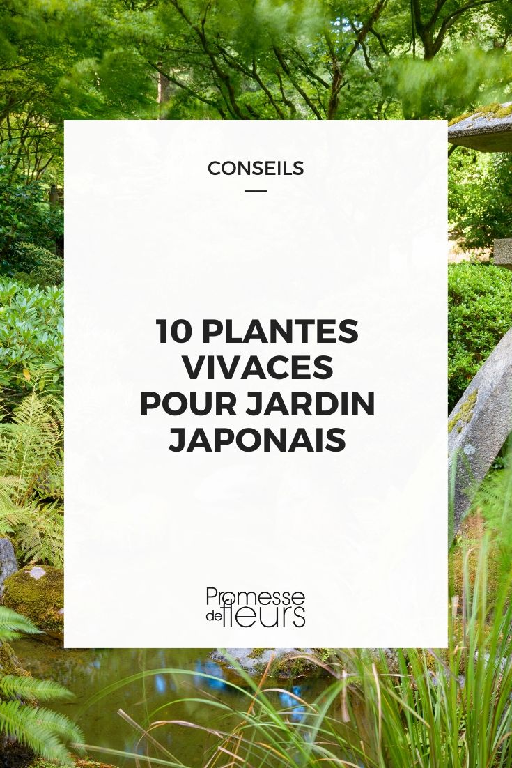 Japanse tuin: 10 ideale vaste planten