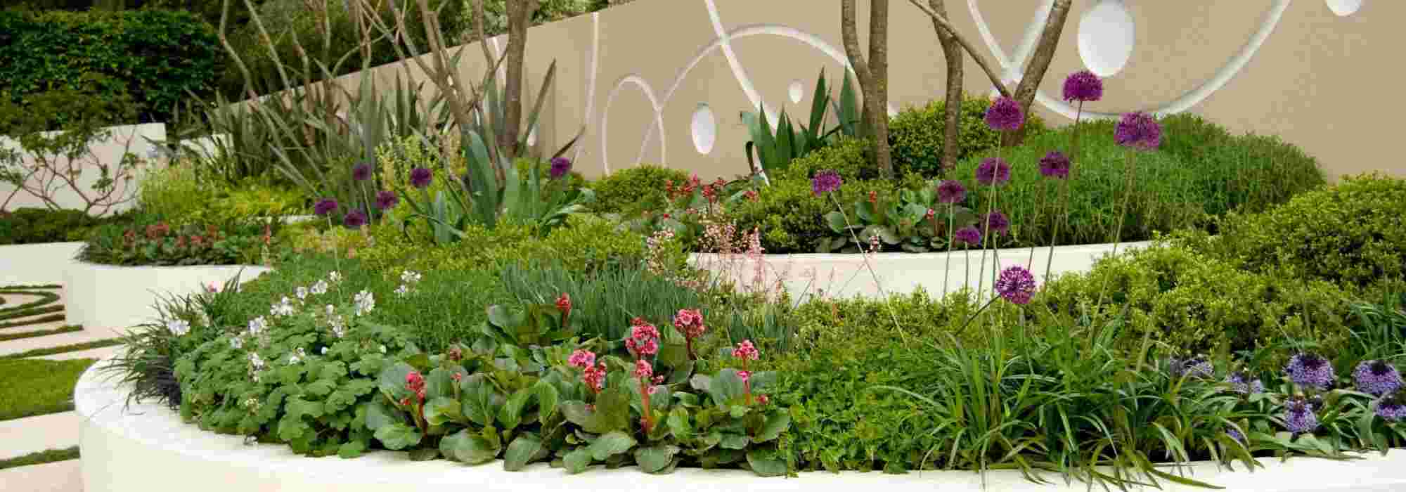 5 planttips voor een strakke, moderne tuin