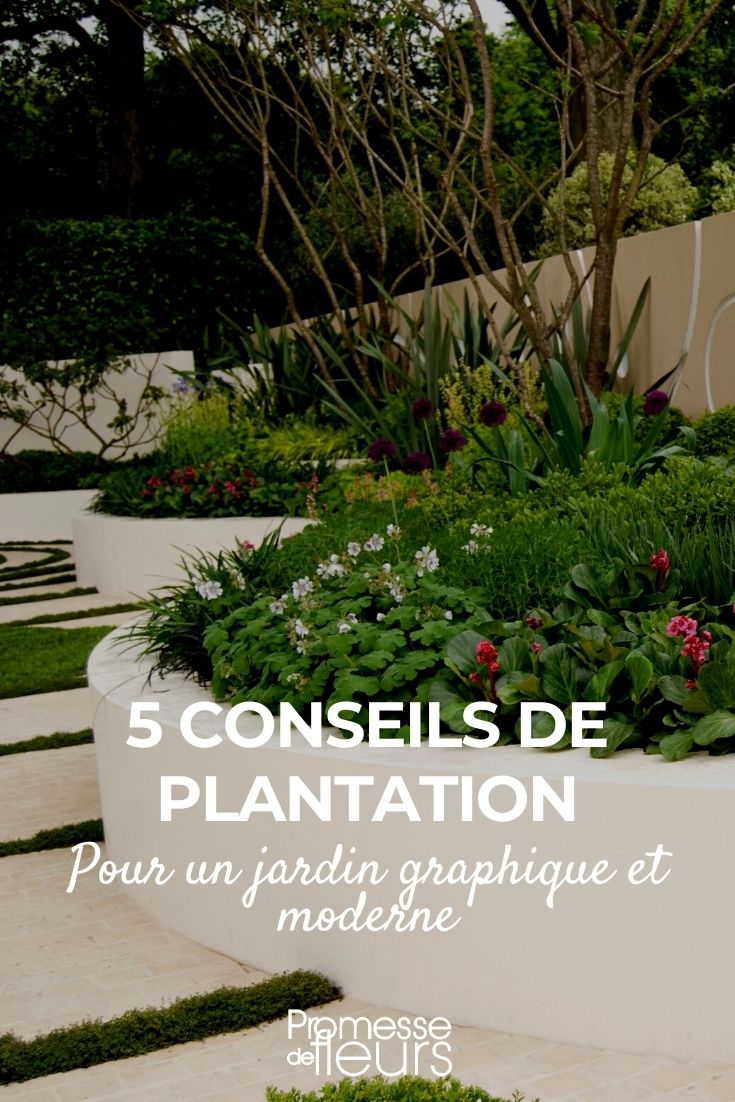 5 planttips voor een strakke, moderne tuin