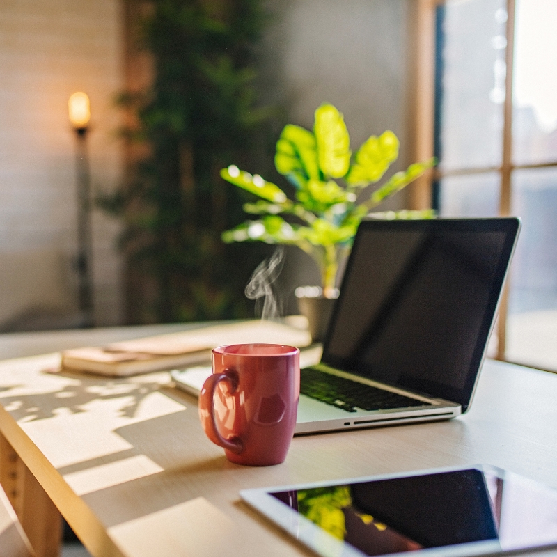 Planten voor op kantoor