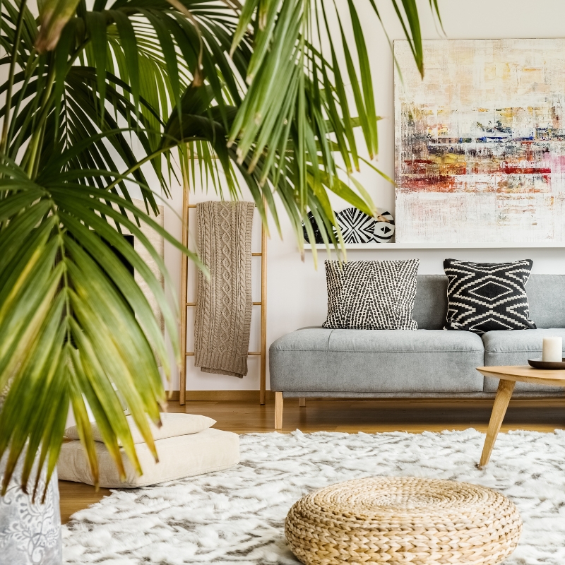 Planten voor de woonkamer