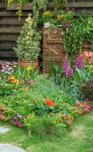 Ontdek ons voordelige assortiment