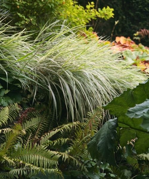 Tot 20% korting op een selectie planten!