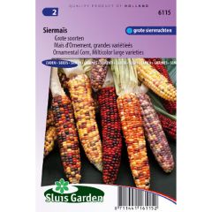 Siermaïs (zaad) - Zea mays japonica