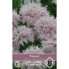 Papaver somniferum Lilac Pompom (zaad) - Slaapbol
