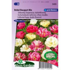 Eschscholzia californica Bridal Bouquet Mix (zaad) – Slaapmutsje