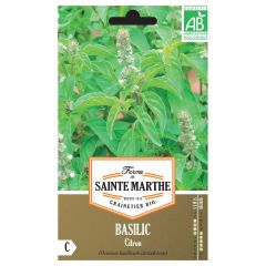 Citroenbasilicum BIO - Ferme de Sainte Marthe
