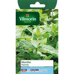 Pepermunt - Mentha piperita (zaad)