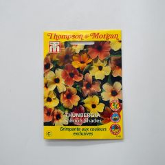Thunbergia alata Salmon Shades (zaad) - Suzanne-met-de-mooie-ogen