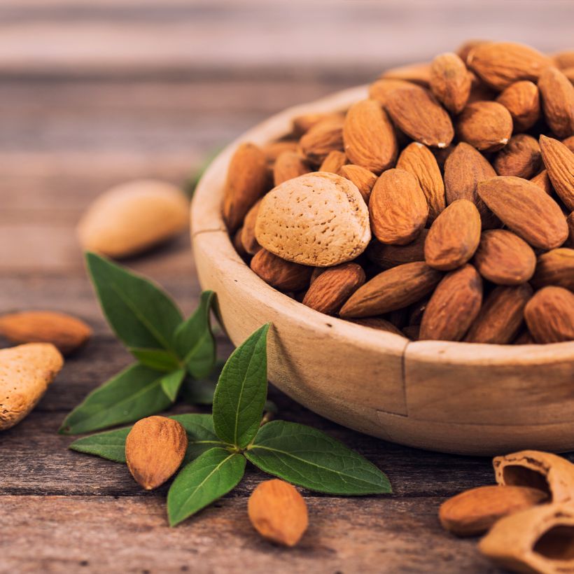 Amandelboom - Prunus dulcis (Oogst)