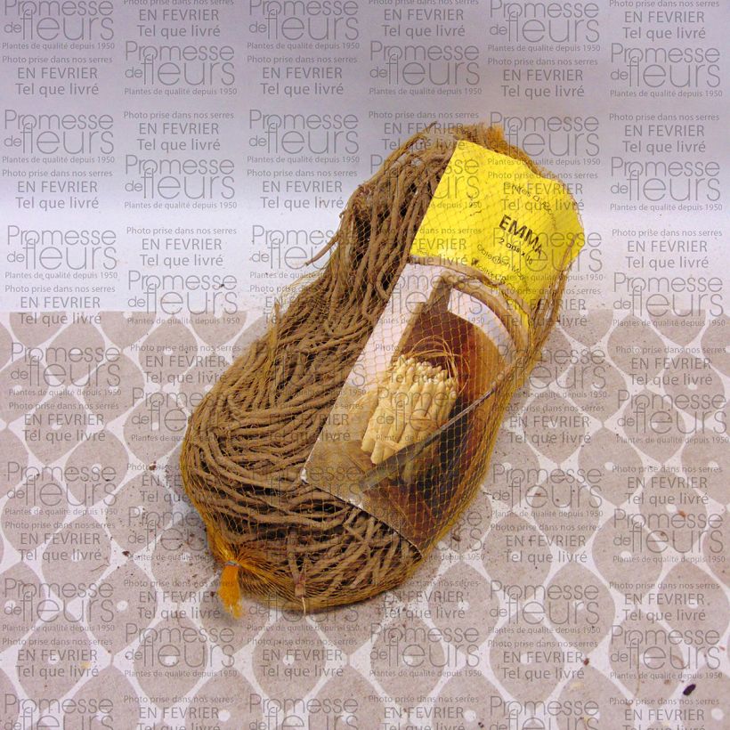 Example of Asperge Emma (klauwen) Zak met 10 klauwen as you get