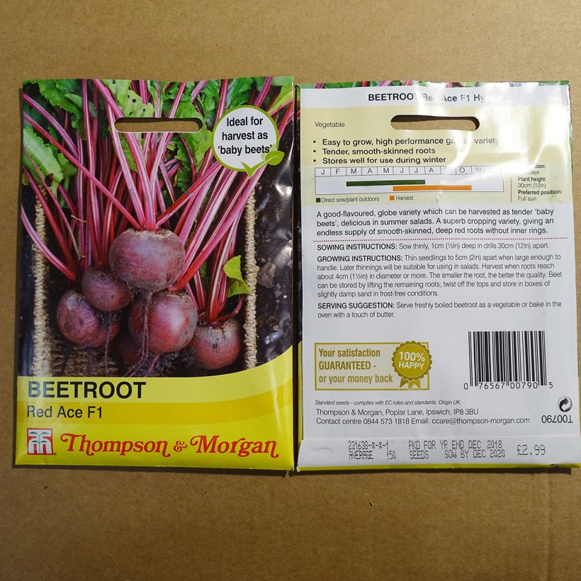 Example of Rode biet Red Ace F1 het zakje met 150 zaden as you get