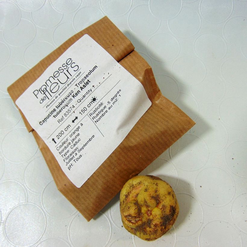 Voorbeeld van een exemplaar van Tropaeolum tuberosum Ken Aslet - Knolcapucien Bol zoals geleverd