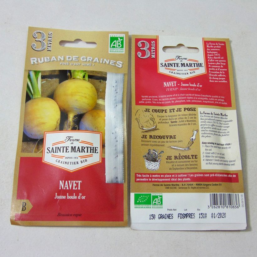 Example of Knolraap Gouden bol BIO - Ferme de Sainte Marthe (zaailint) Zaden op lint as you get