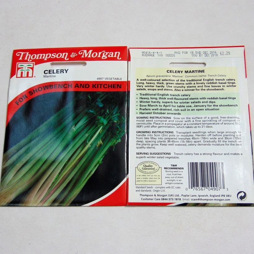 Example of Knolselderij Martine het zakje met 100 zaden as you get