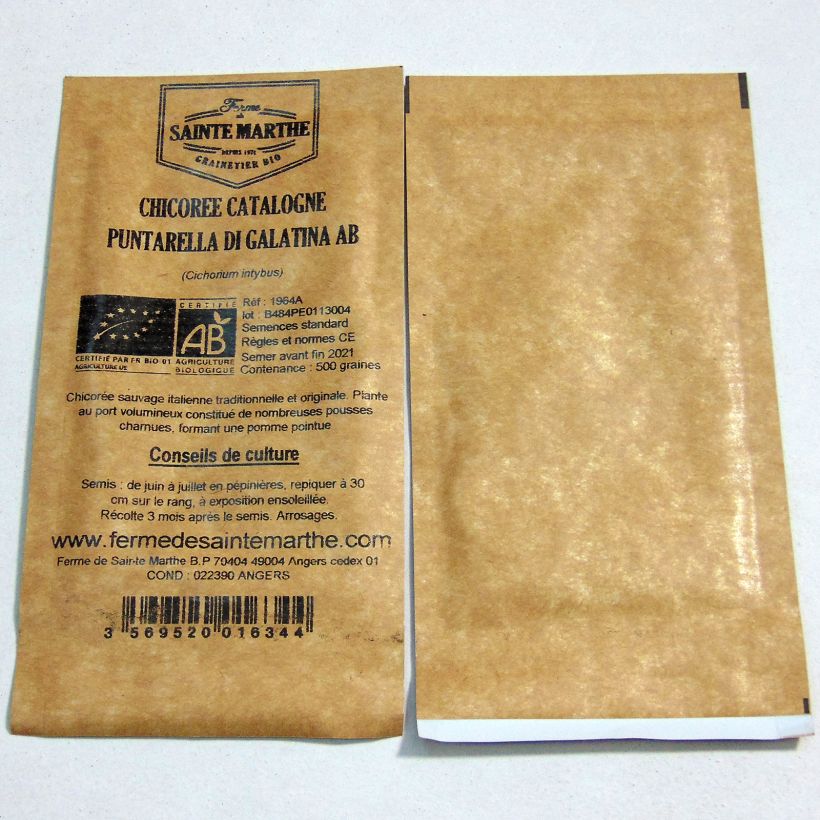 Voorbeeld van een exemplaar van Bladcichorei Puntarella di Galatina BIO - Ferme de Sainte Marthe het zakje met 500 zaden zoals geleverd
