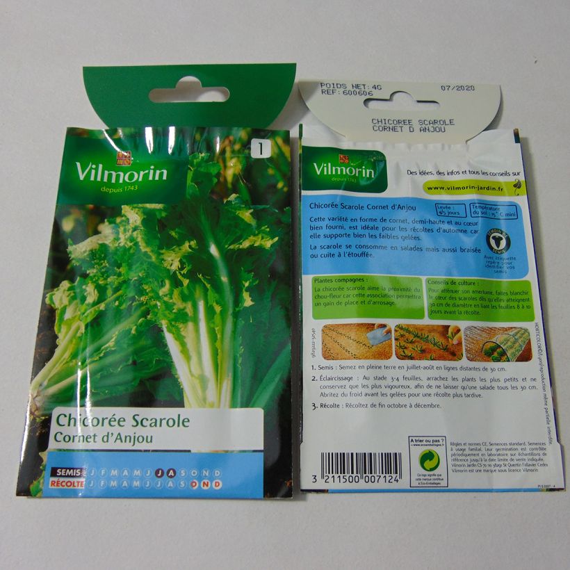 Voorbeeld van een exemplaar van Andijvie Cornet van Anjou - Vilmorin het zakje met 2400 zaden (4g) zoals geleverd