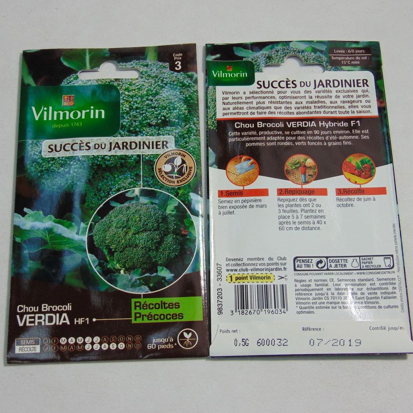 Example of Broccoli Verdia F1 - Vilmorin het zakje met 200 zaden (0.5g) as you get