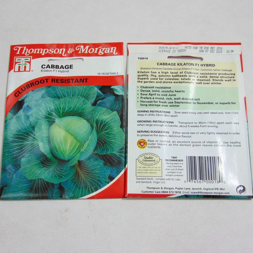 Example of Witte kool Kilaton F1 het zakje met 20 zaden as you get