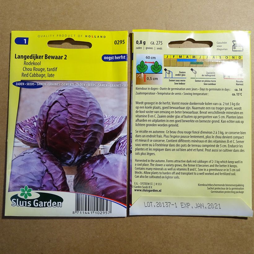 Example of Rodekool Langedijker Bewaar 2 het zakje met 275 zaden as you get