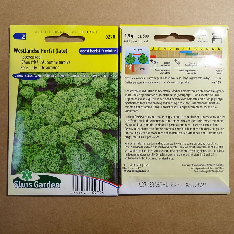 Voorbeeld van een exemplaar van Boerenkool - Brassica oleracea het zakje met 500 zaden (1g) zoals geleverd